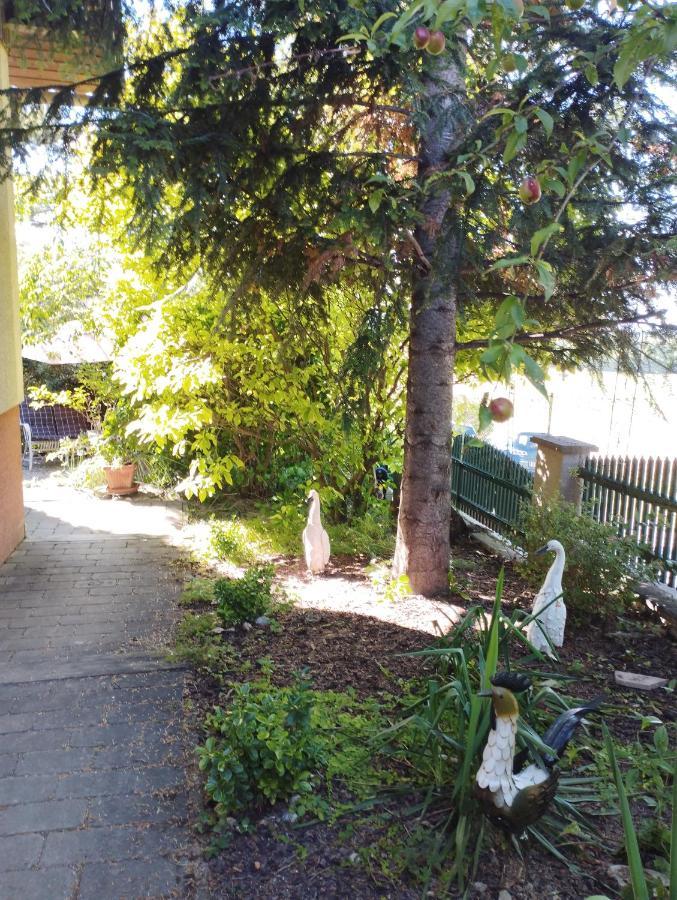 B&B Family Basement Apartment, Breakfast, Free Parking, 5Km From Tulln Chorherrn ภายนอก รูปภาพ