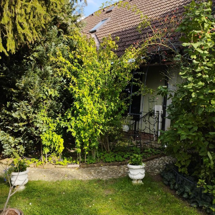 B&B Family Basement Apartment, Breakfast, Free Parking, 5Km From Tulln Chorherrn ภายนอก รูปภาพ
